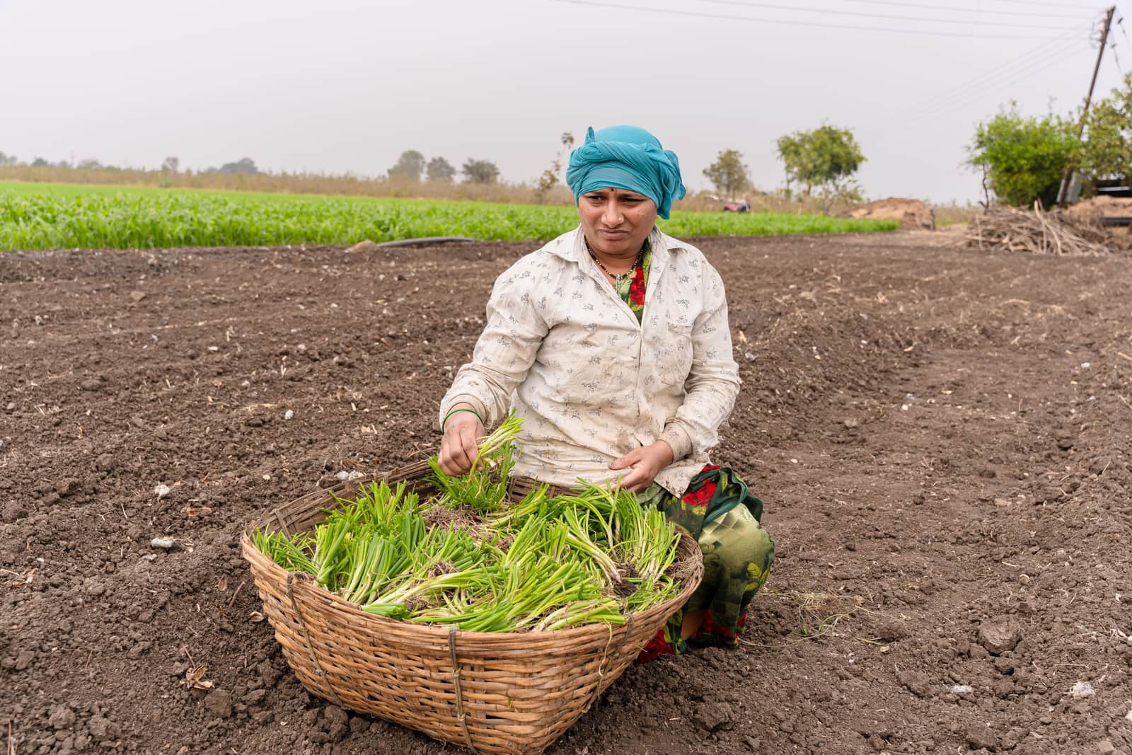 A woman in a turquoise headscarf kneels in a ploughed field beside a basket of freshly cut greens