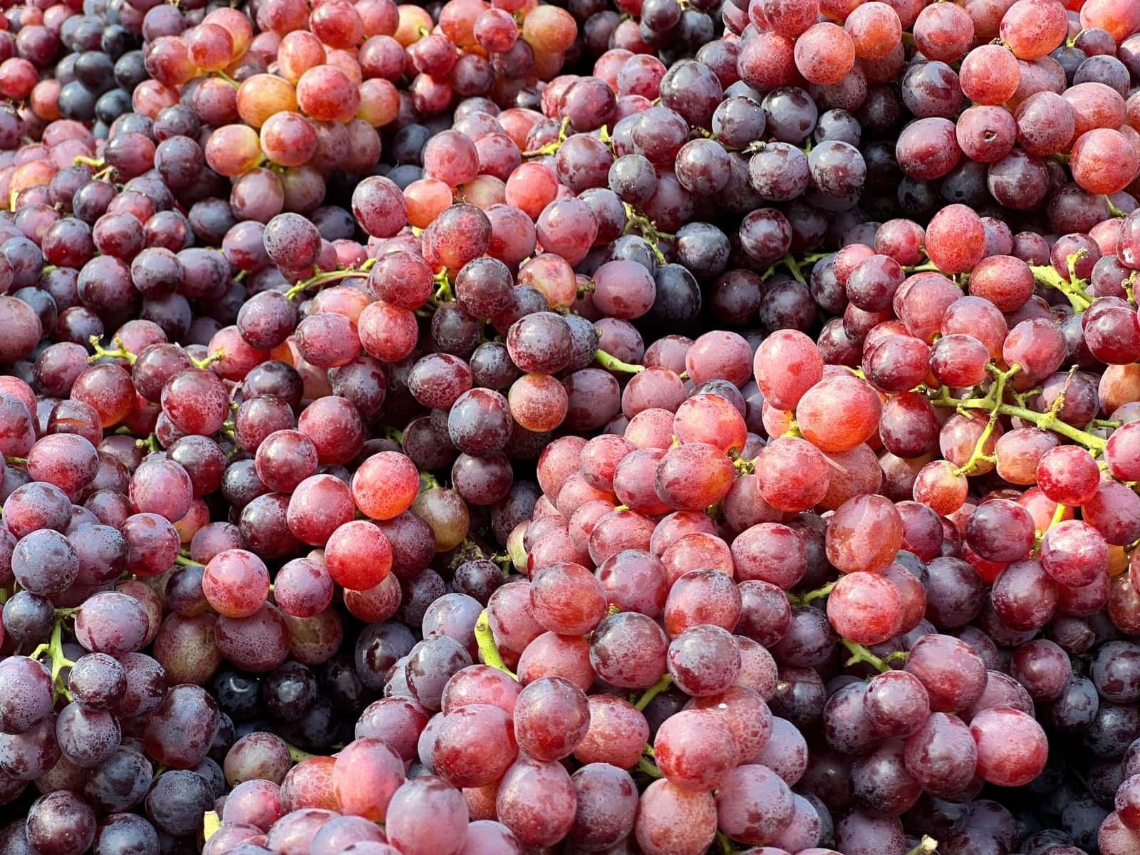 Red and green grapes heaped on a market stall