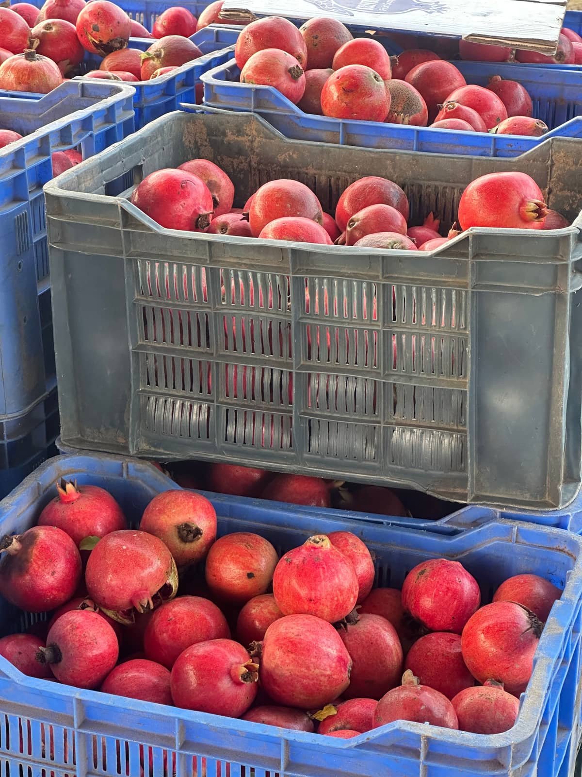 Deep-red pomegranates in grey and blue plastic crates at a market