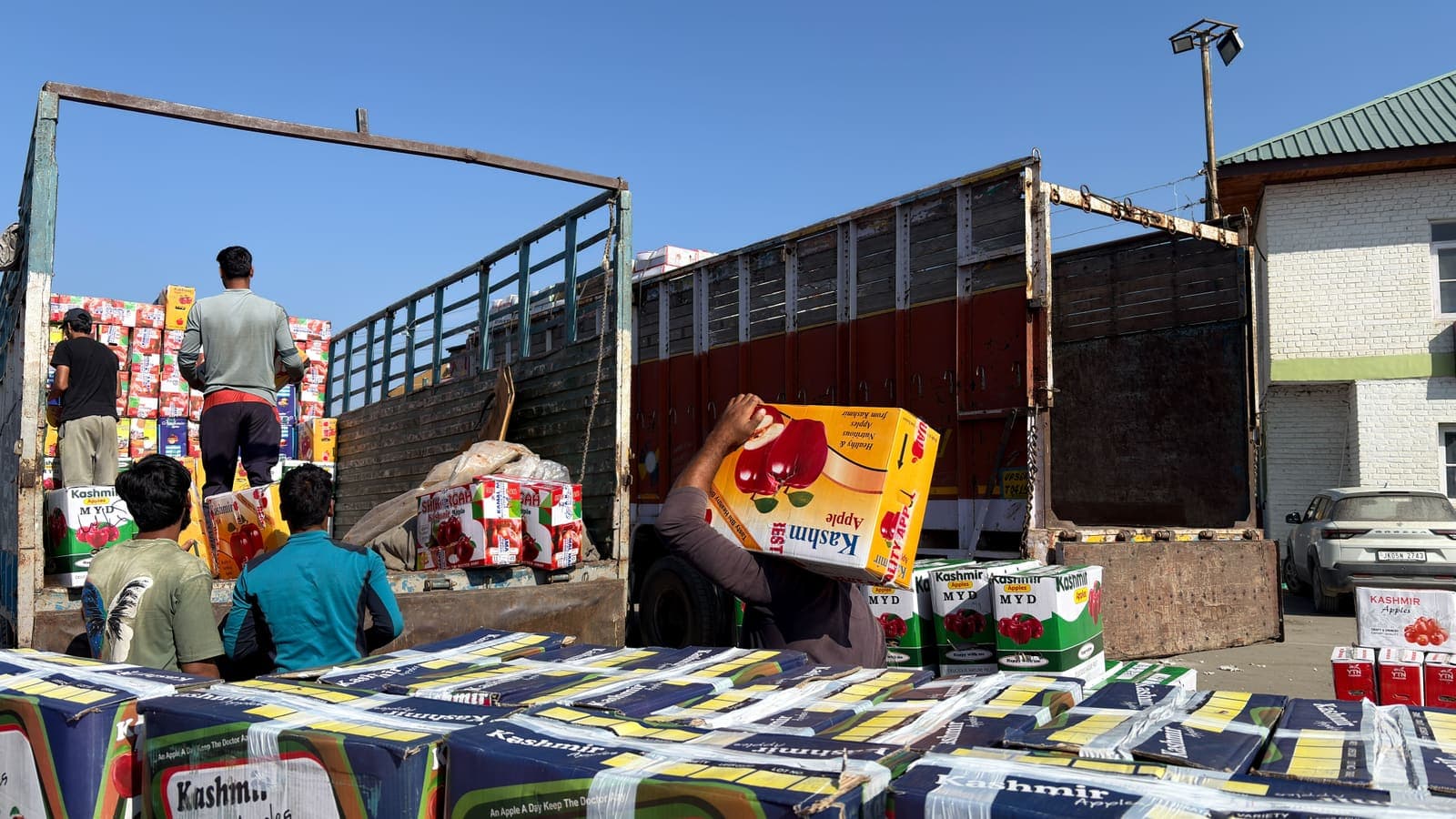 Men load printed fruit boxes onto an open truck at a busy market yard under a blue sky