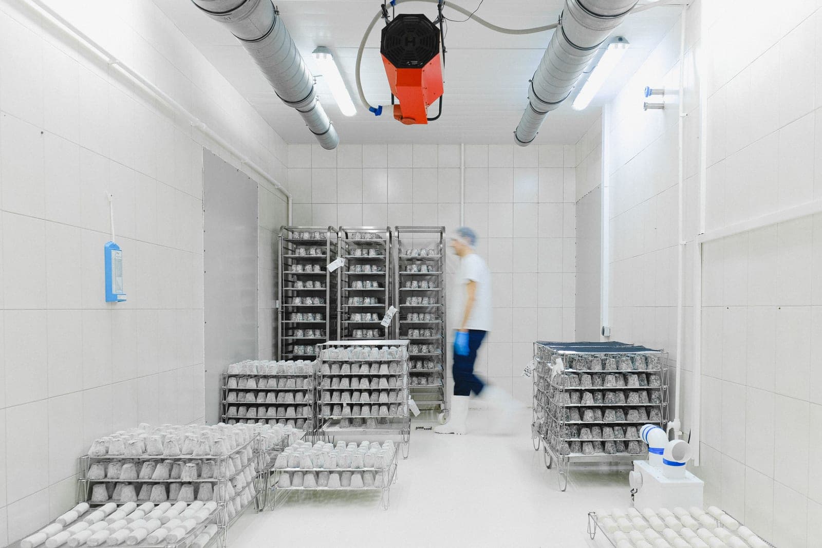 A clean white chilled store room with racks of trays and a worker in a hairnet at the back
