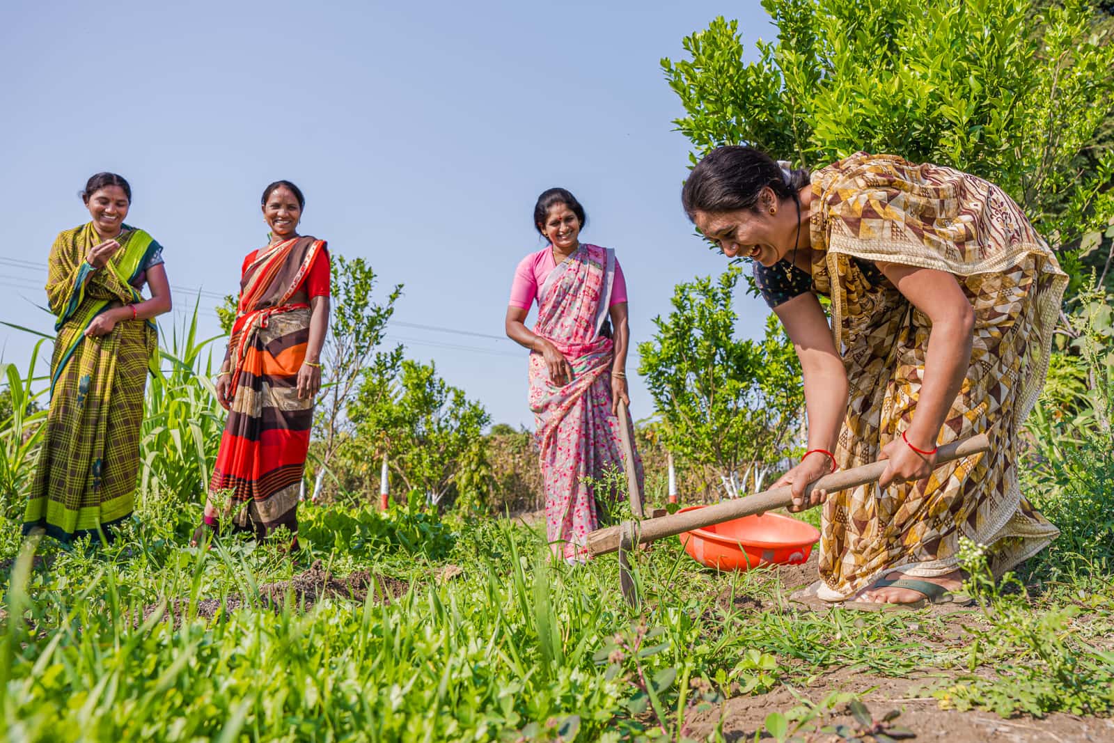 Women laughing together as they work in a green field