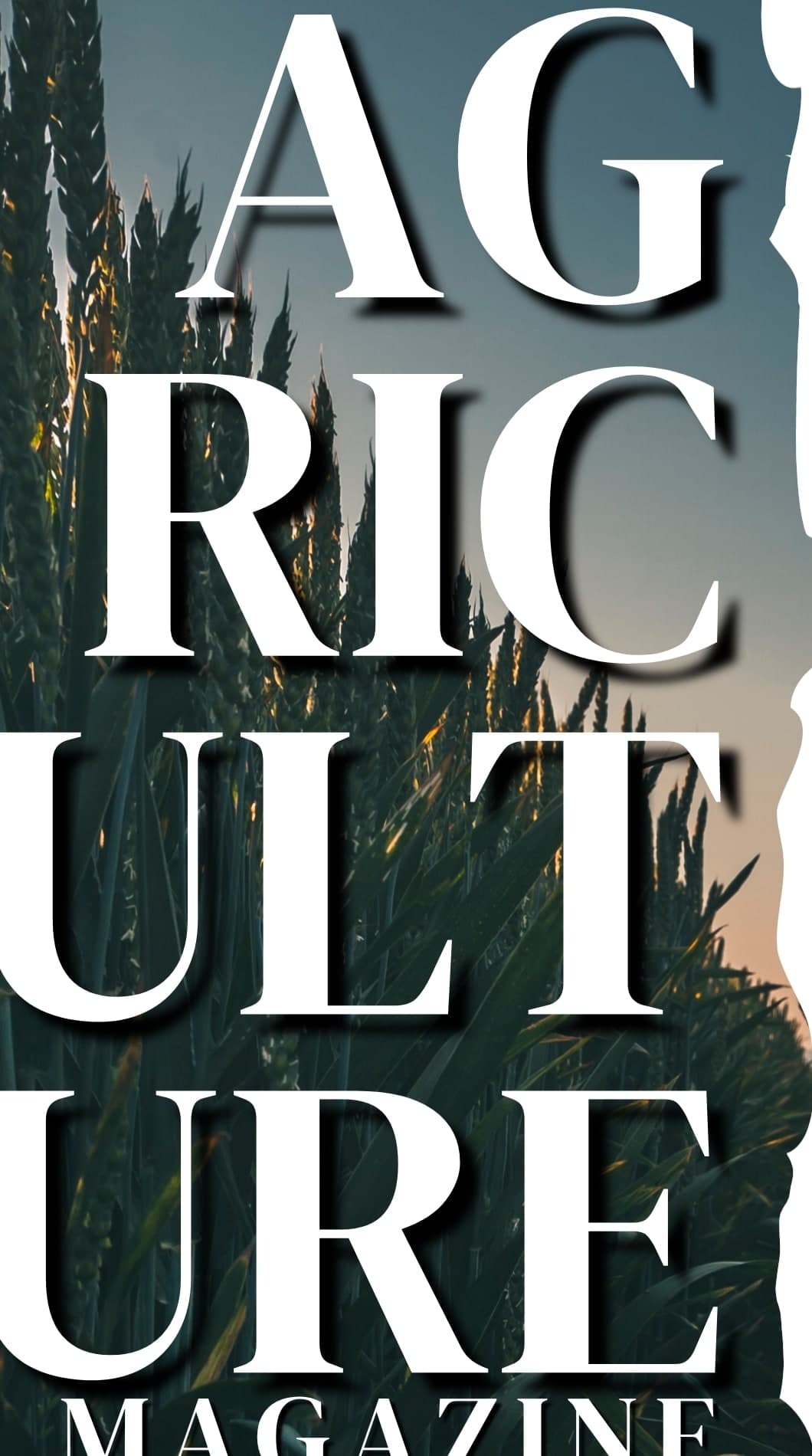 Detail of the vertically stacked Agriculture masthead