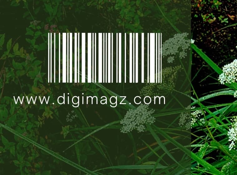 Detail of the barcode and imprint at the foot of the cover